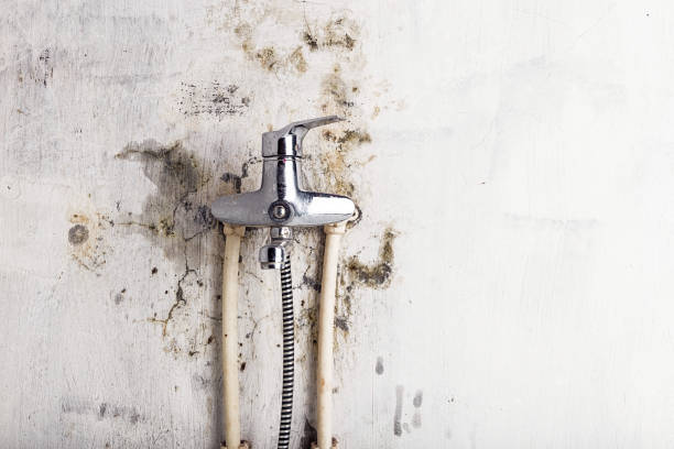 Best HVAC Mold Remediation in Ranchos De Taos, NM