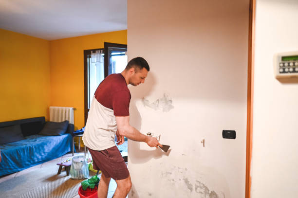 Best Residential Mold Remediation in Ranchos De Taos, NM